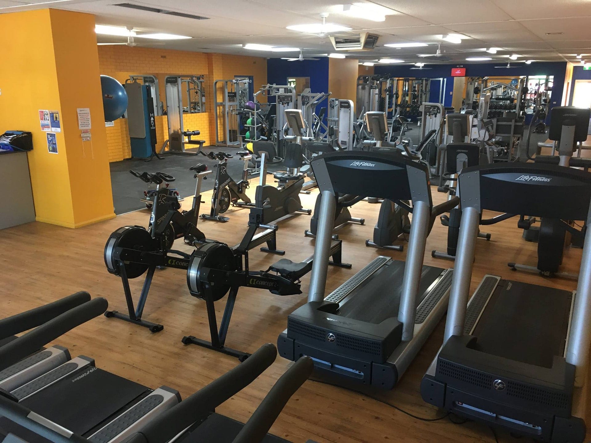Advance Fitness Mooroopna Gym Cardio Area
